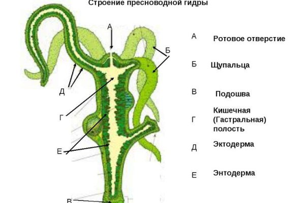 Зайти в кракен